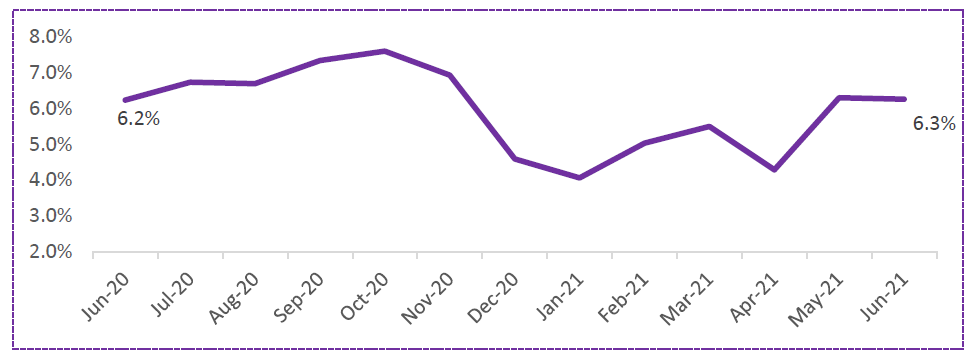 Macroscope – Inflation CPI Inflation For The Month June 2021 1