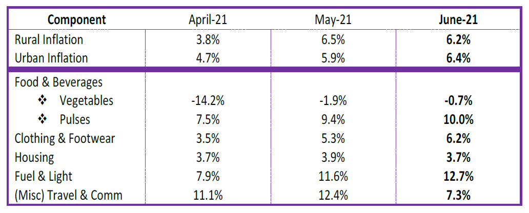 Macroscope – Inflation CPI Inflation For The Month June 2021 2